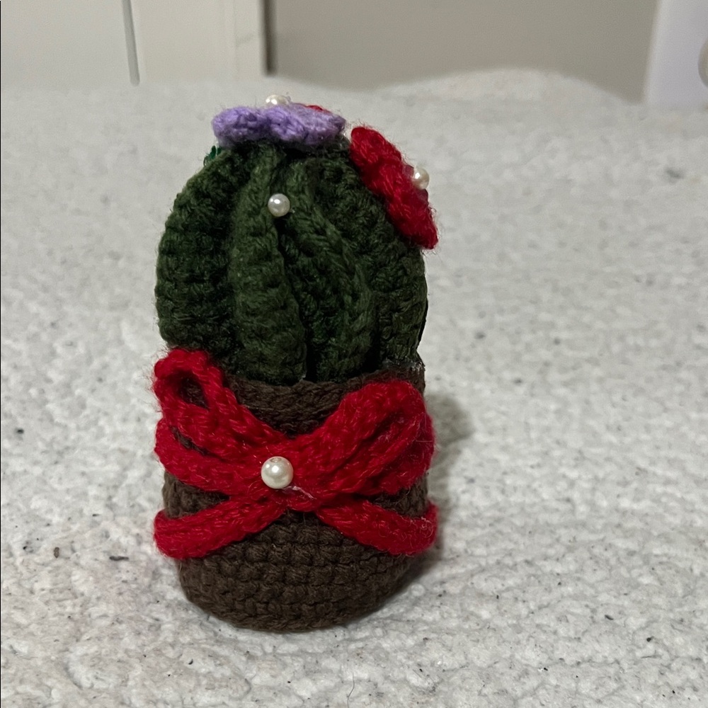 New Handcrafted Crochet Cactus house Accessory